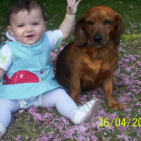 Photo #186872 de Pepsy