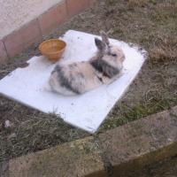 détente dans l'herbe ça change de l'appart