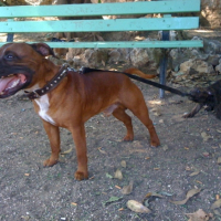 Photo #187041 de Diaz