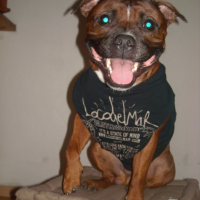 Photo #187043 de Diaz
