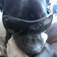 Photo #187071 de Moby