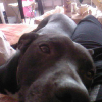 Photo #187080 de Moby