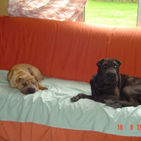 Photo #187098 de Chang