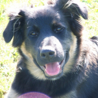 Photo #187218 de Nala