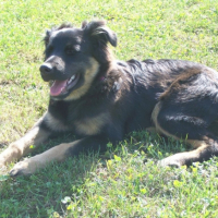 Photo #187224 de Nala