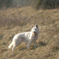 Photo #187226 de Cristalle