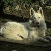 Photo #187229 de Cristalle