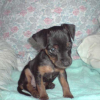 Photo #187262 de Chanelle