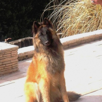 Photo #187263 de Dido
