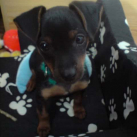 Photo #187286 de Chanelle