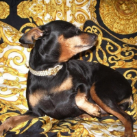 Photo #187293 de Lola