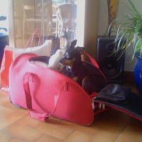 Photo #187299 de Lola