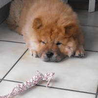 Photo #187300 de élite