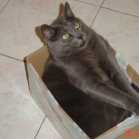 Photo #187302 de Lucky