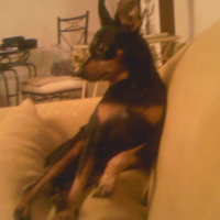 Photo #187303 de Lola