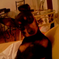 Photo #187305 de Lola