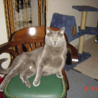 Photo #187309 de Lucky