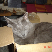 Photo #187315 de Lucky