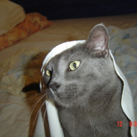 Photo #187318 de Lucky