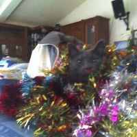 Photo #187320 de Lucky