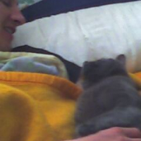 Photo #187322 de Lucky