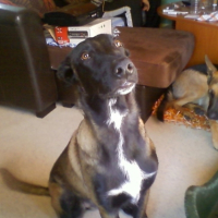 Photo #187340 de Elka