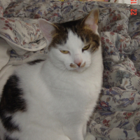 Photo #187407 de Doudou