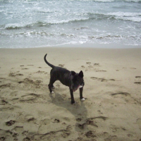Photo #187412 de Zaza