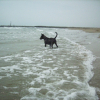 a la plage