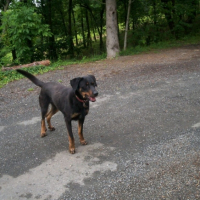 Photo #187423 de Lola
