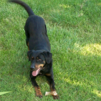 Photo #187425 de Lola