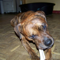 Photo #187430 de Raban