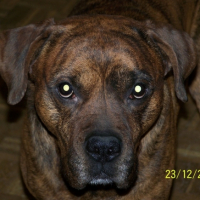 Photo #187467 de Raban