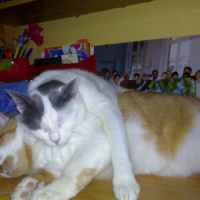 Photo #187485 de Leya