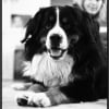 athos1