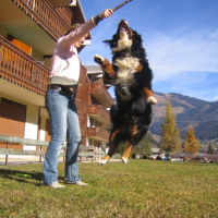 Photo #187512 de Athos