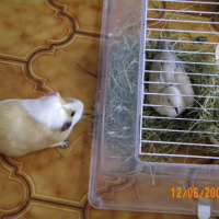 Photo #187606 de Doudou