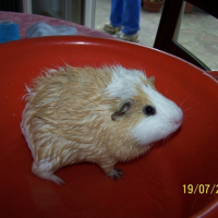 Photo #187619 de Doudou