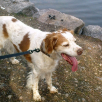 Photo #187643 de Nanouk