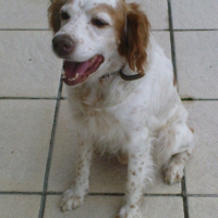 Photo #187647 de Nanouk