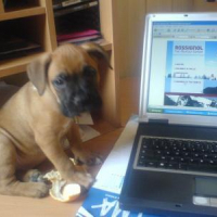 Photo #187650 de Bouba