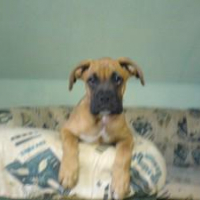 Photo #187656 de Bouba
