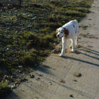 Photo #187659 de Nanouk
