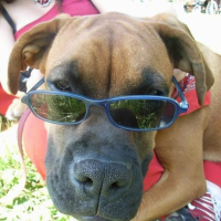 Photo #187662 de Bouba