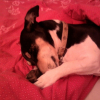 Photo0094