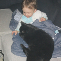 Photo #187699 de Rocky