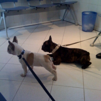 Photo #187771 de Lilo