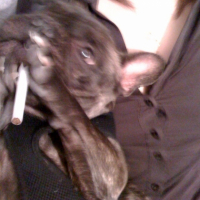 Encore Lilo qui fume , elle aime ca , je vois !!