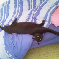 Photo #187785 de Kimi