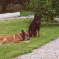 Photo #187810 de Néo